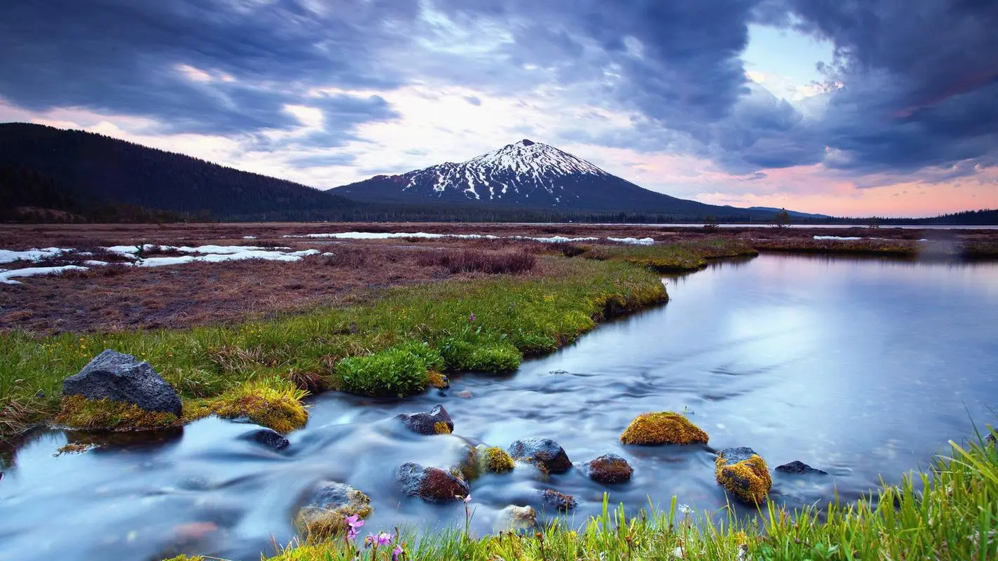 先进高端